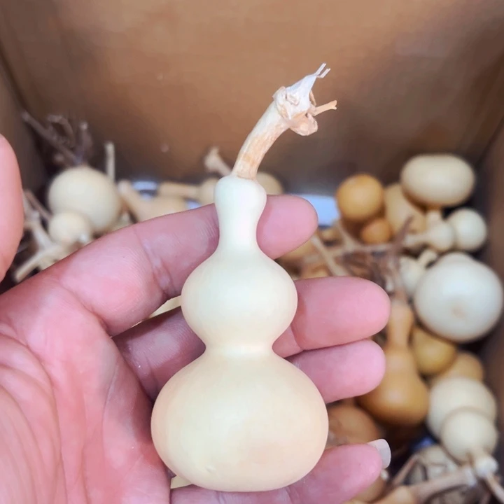 用****4文玩葫芦八宝葫芦