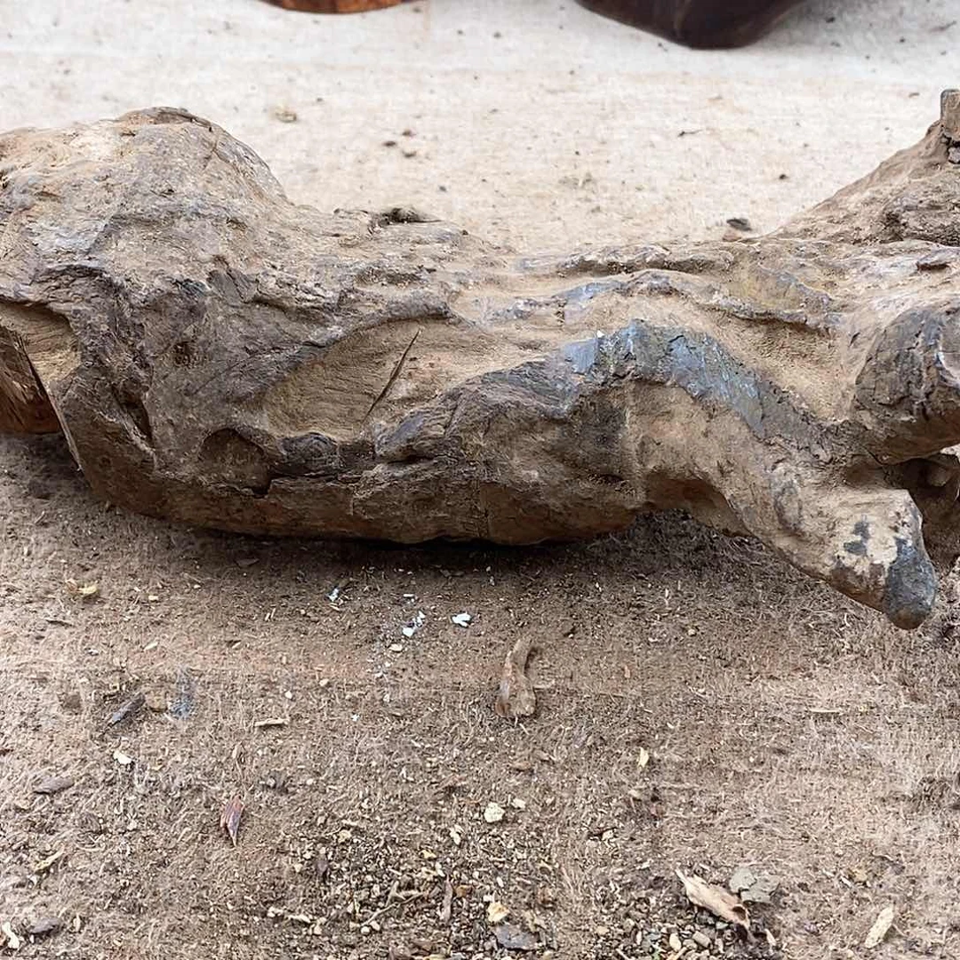 木自**受黄花梨随形料子