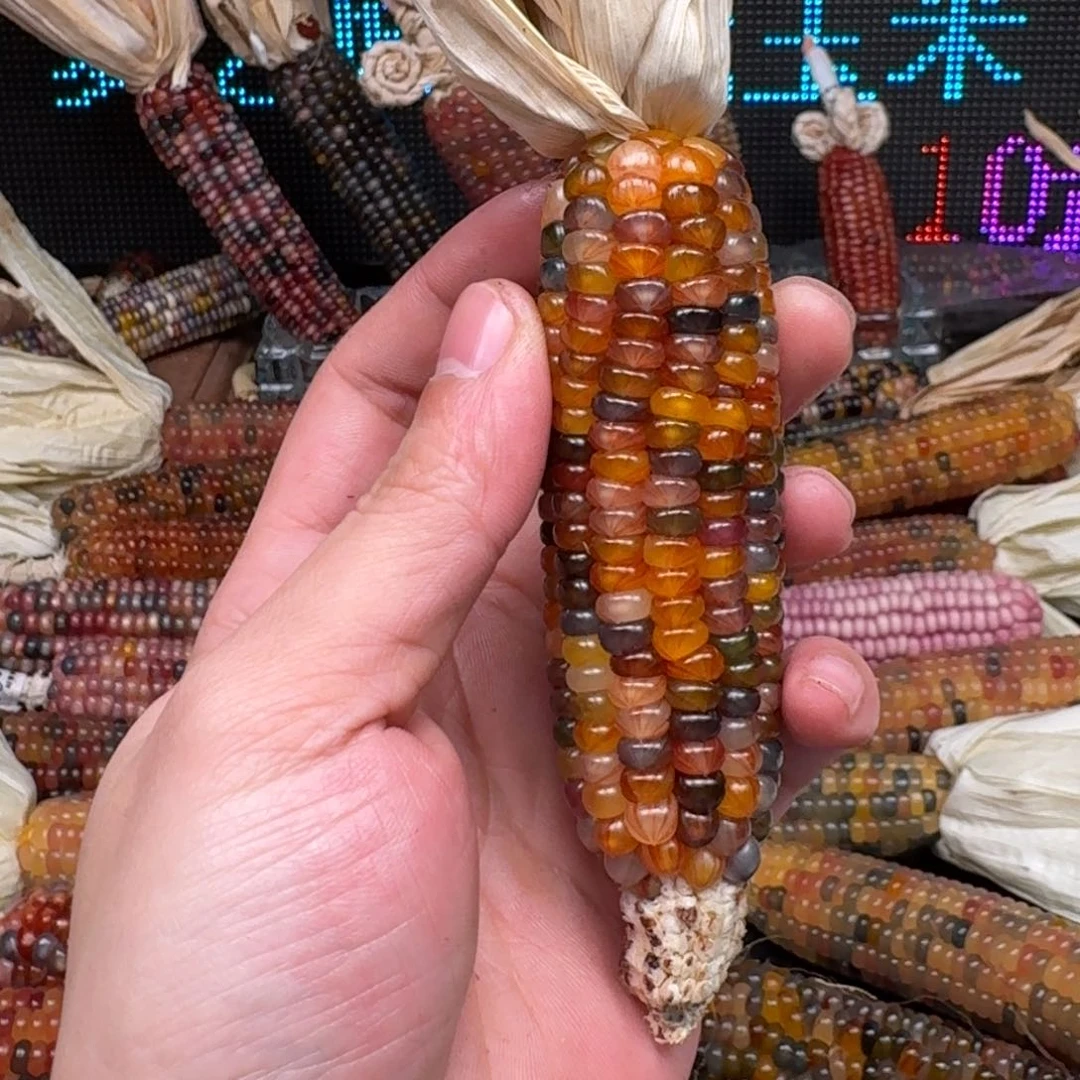 柏香籽/百香籽吊坠瑶*万