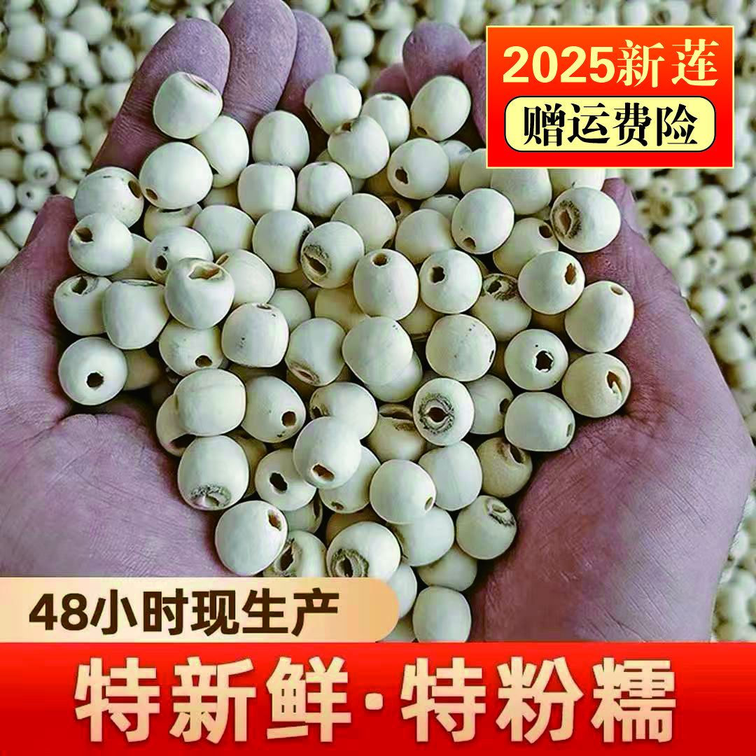 湘潭去芯磨皮白莲子新货去心通心口感甜颗粒均匀饱满营养适合煲汤