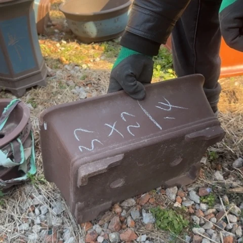 红陶紫砂花盆盆盆栽瑕疵