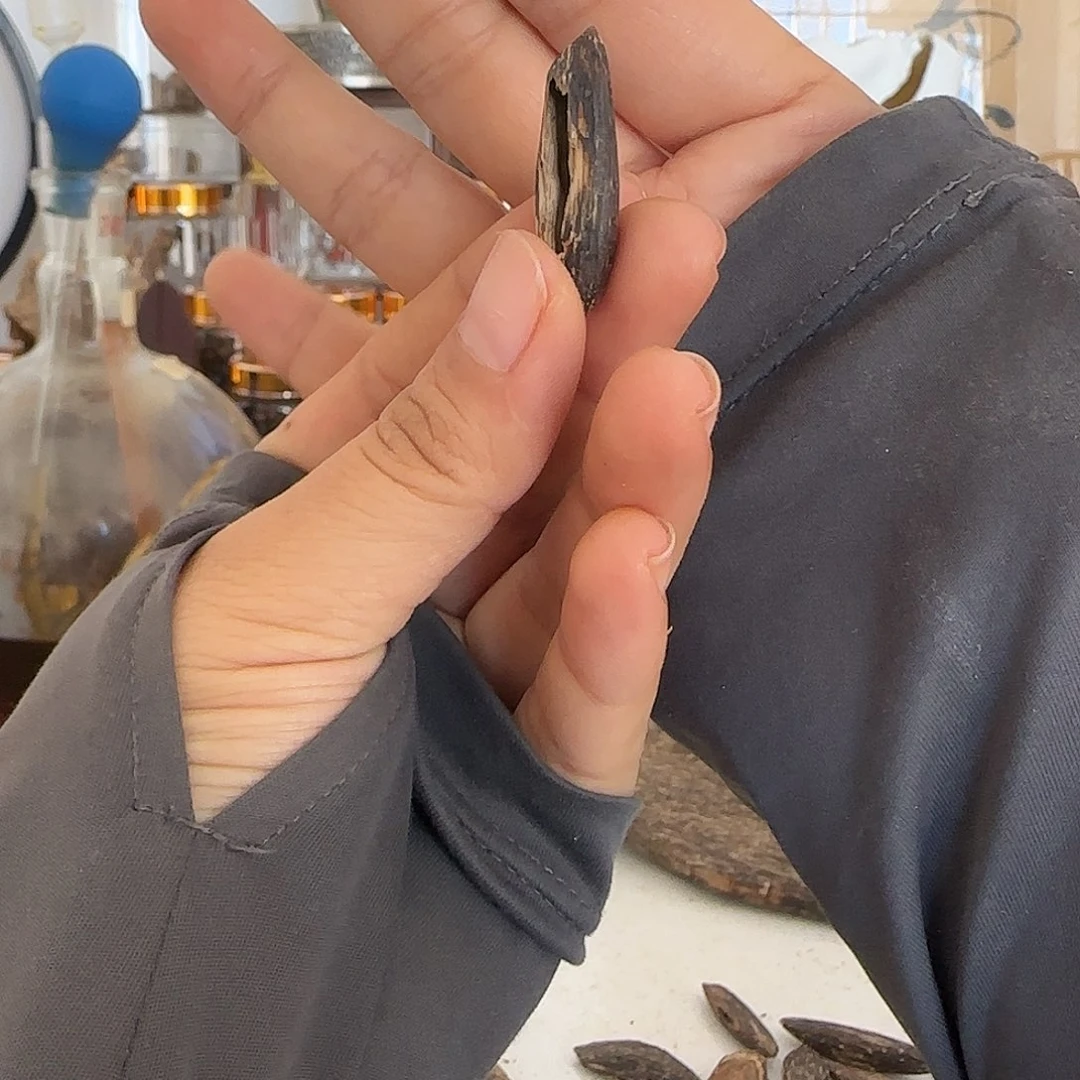 沉香碎屑沉香精品国香瓜子料香港产区0.5克