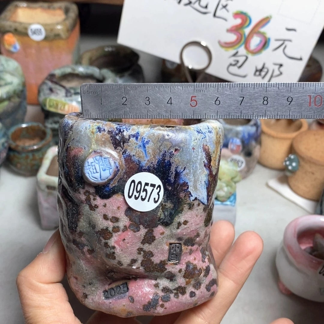 花盆双十二活动不退不换的原108元一个