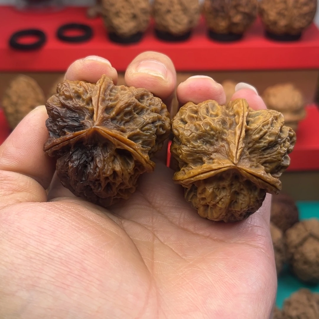 观***复核桃文玩核三棱43尺