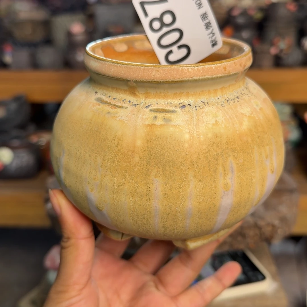 重庆小燕子欢迎大家087