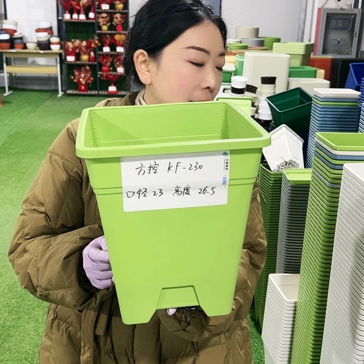 正品方盆口23高26.5果绿5只无托