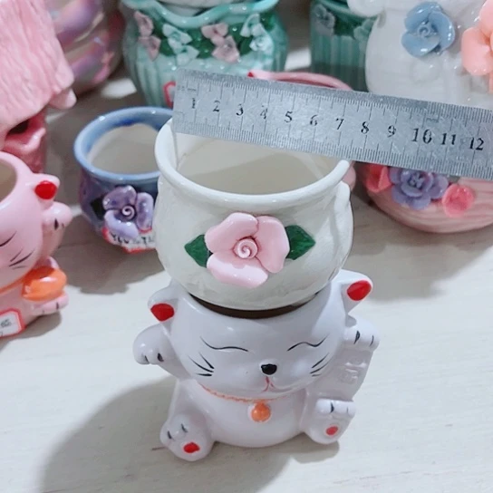 红陶11111111111111