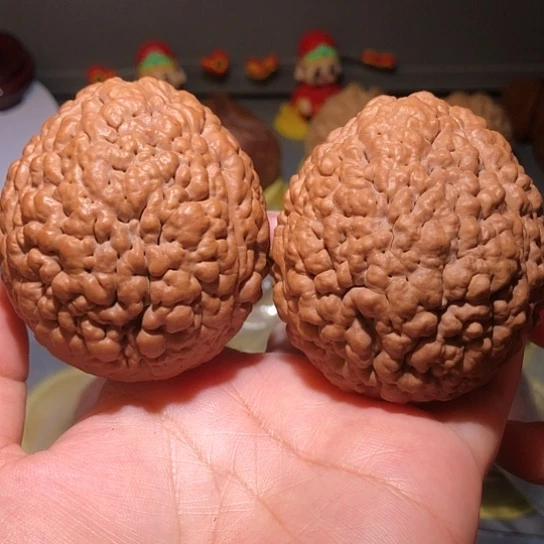 文玩核桃把件脑纹金刚菩提