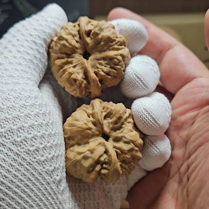 文玩核桃把件牛****饭5-3 40文玩核桃蛤蟆头