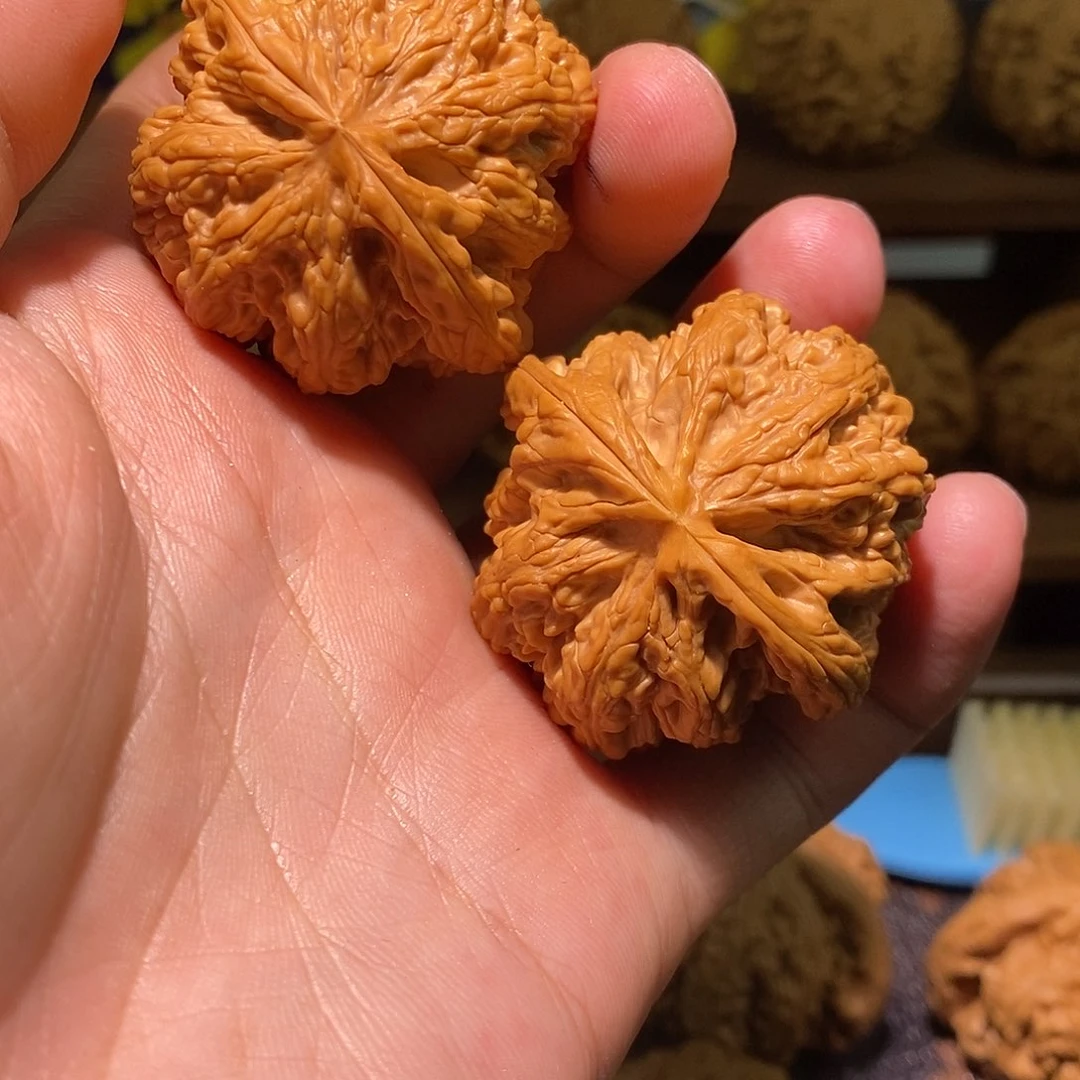 龙脊菩提把件大粗筋文玩核桃8