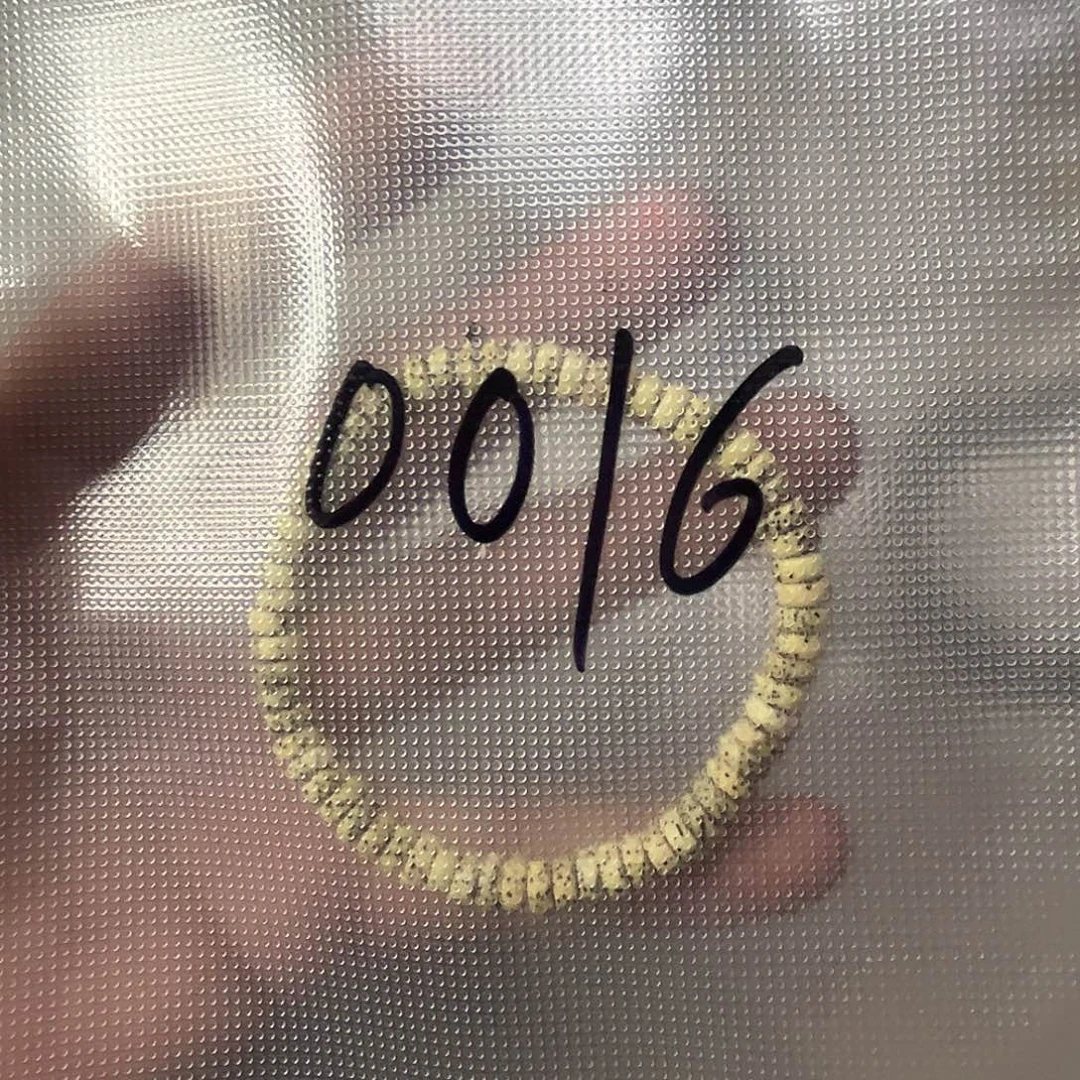 星月菩提吊坠0016