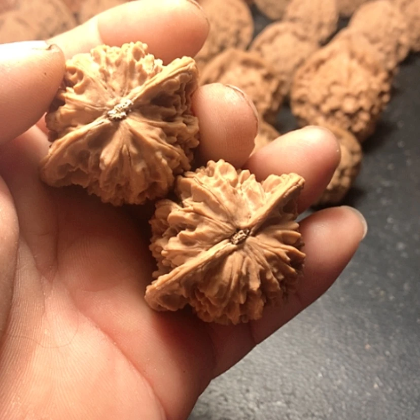 【闪购商品】风***在盘龙纹