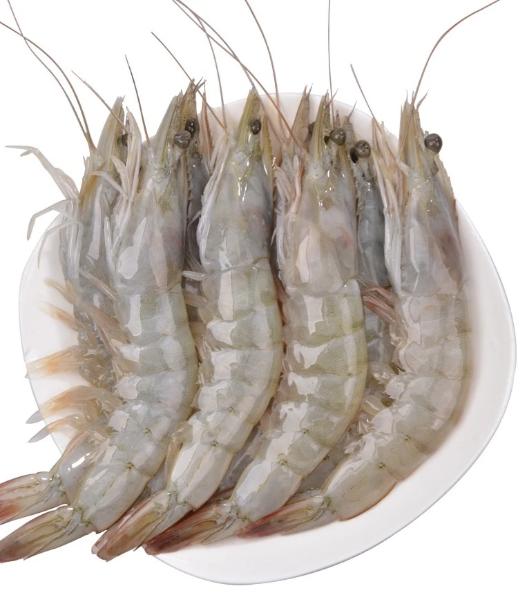 5斤海洋大虾13-15厘米/只，14-17个/斤，活虾速冻锁鲜
