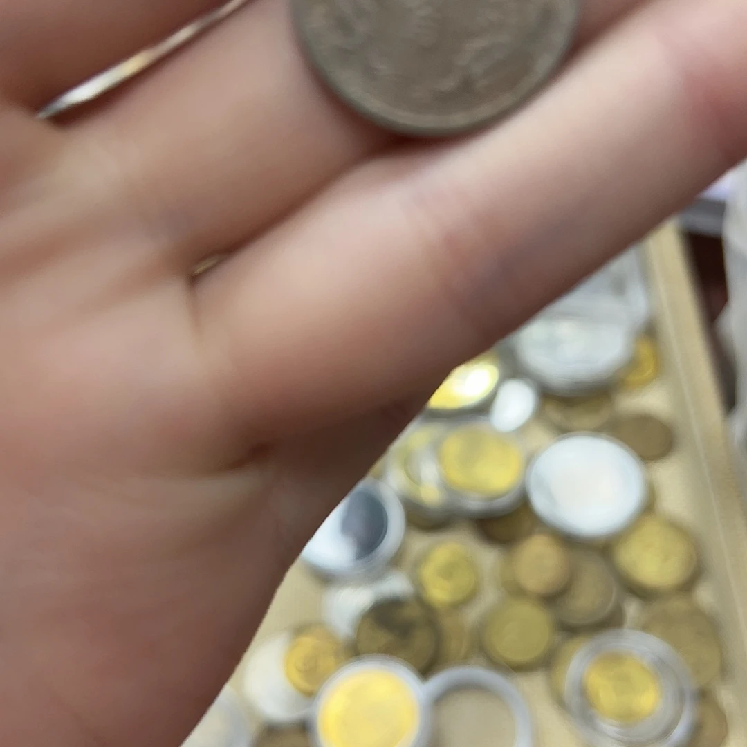 拍品。