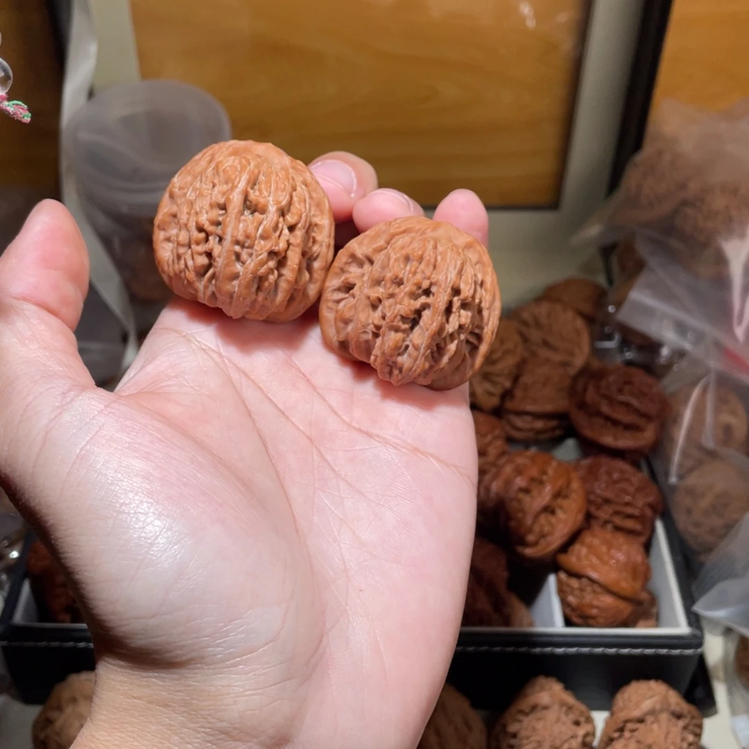 40尺寸全品无修蓟县血红皮楼