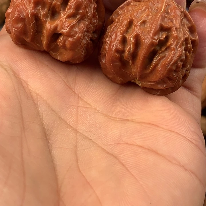 方蝉。