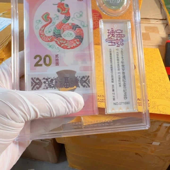 其他普通金属瑰宝蛇套装，拆包不退