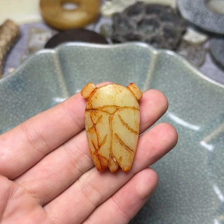 直播放漏专属链接47