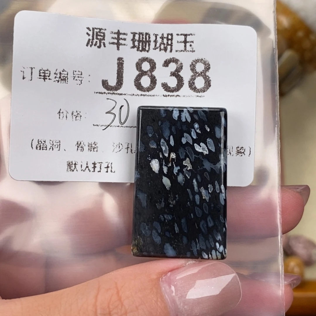 硅化玉颈饰未镶嵌D****y