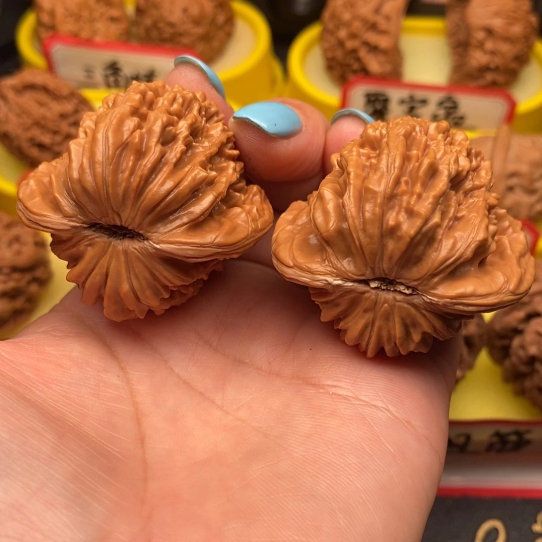 菩提籽类四座楼楼
