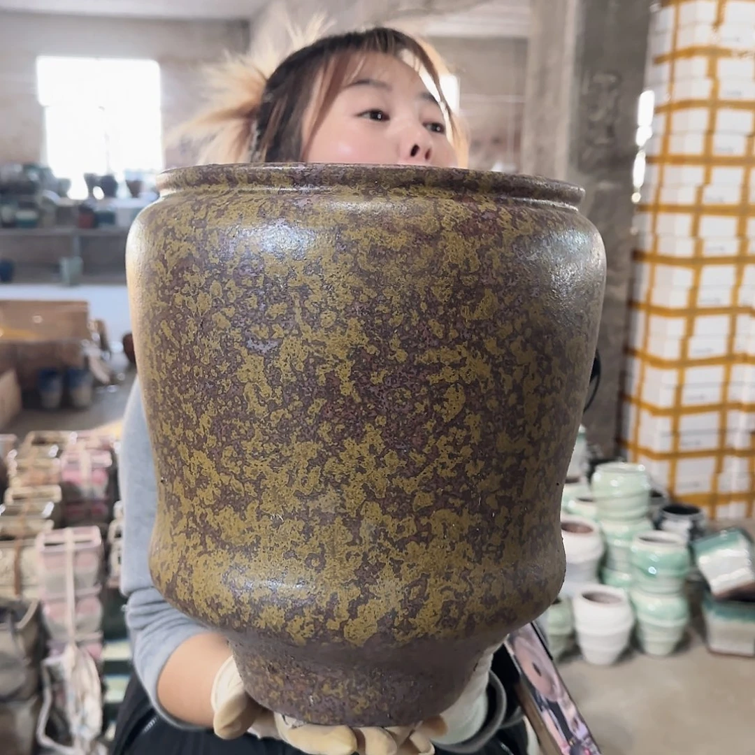 王嫂花盆直播1124-457