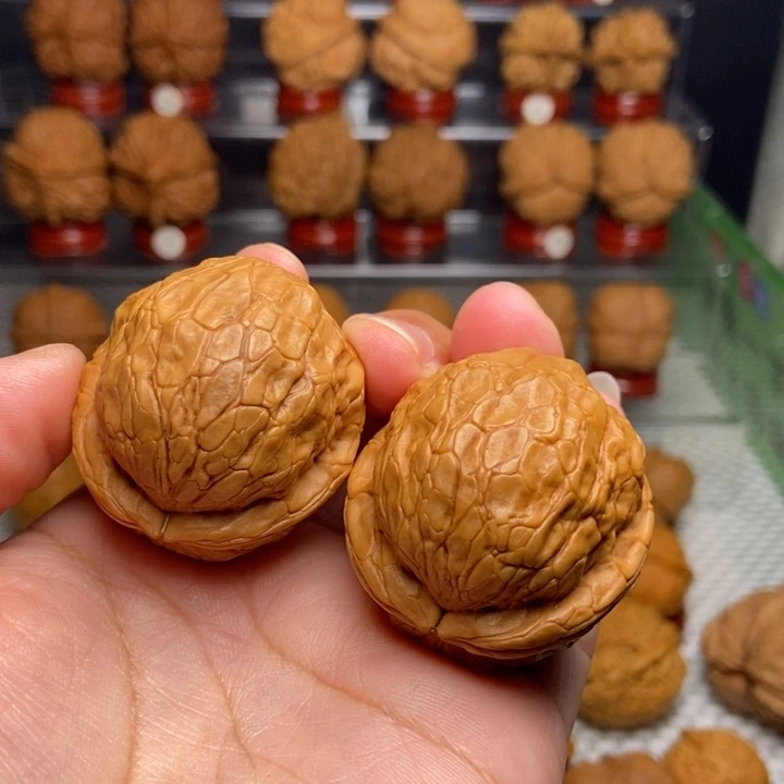 吥***丶文玩核桃把件金龟玉甲10