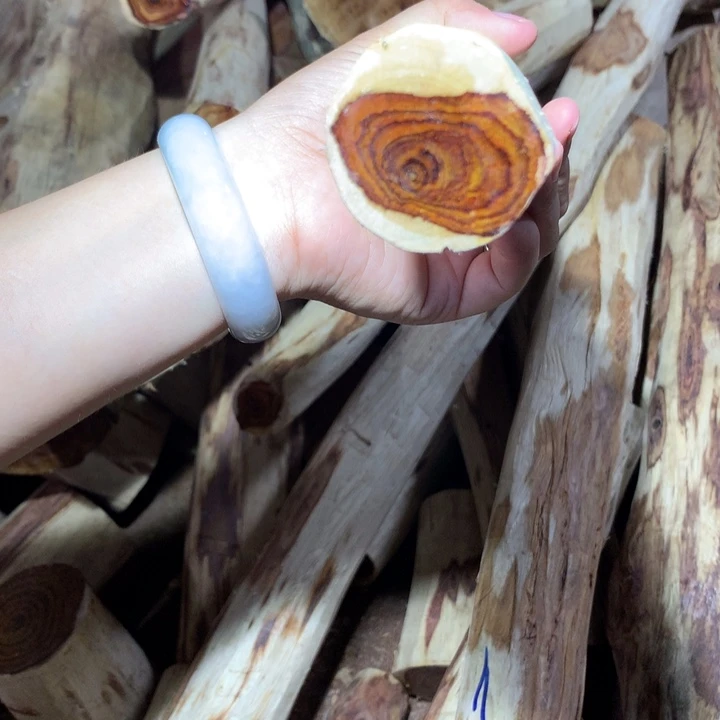 黄花梨/降香黄檀海南黄花梨