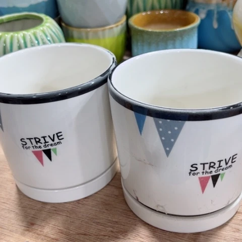 陶瓷满9包邮都是包邮