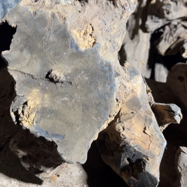 海***哟贡木把件感谢大家