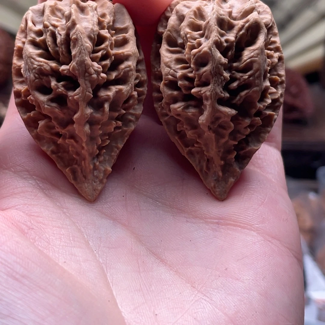 文玩核桃把件楸刀鱼14