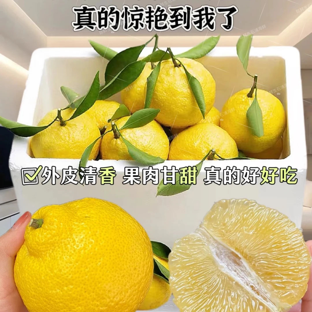 【大果5斤】宁波象山青桔子 春香柚柑橘 清香 多汁爽口  顺丰全国