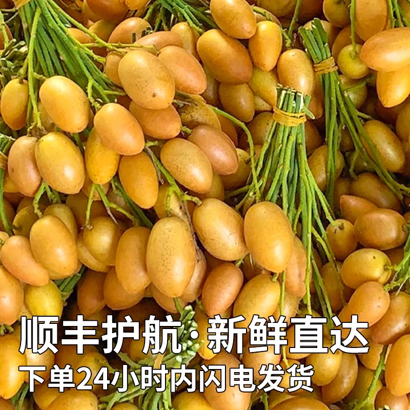 顺丰发货广东鸡心黄皮果新鲜5斤冰糖当季现摘酸甜黄弹子水果包邮