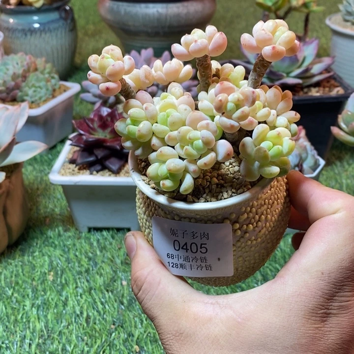 0405啊啊啊啊啊啊啊啊啊啊