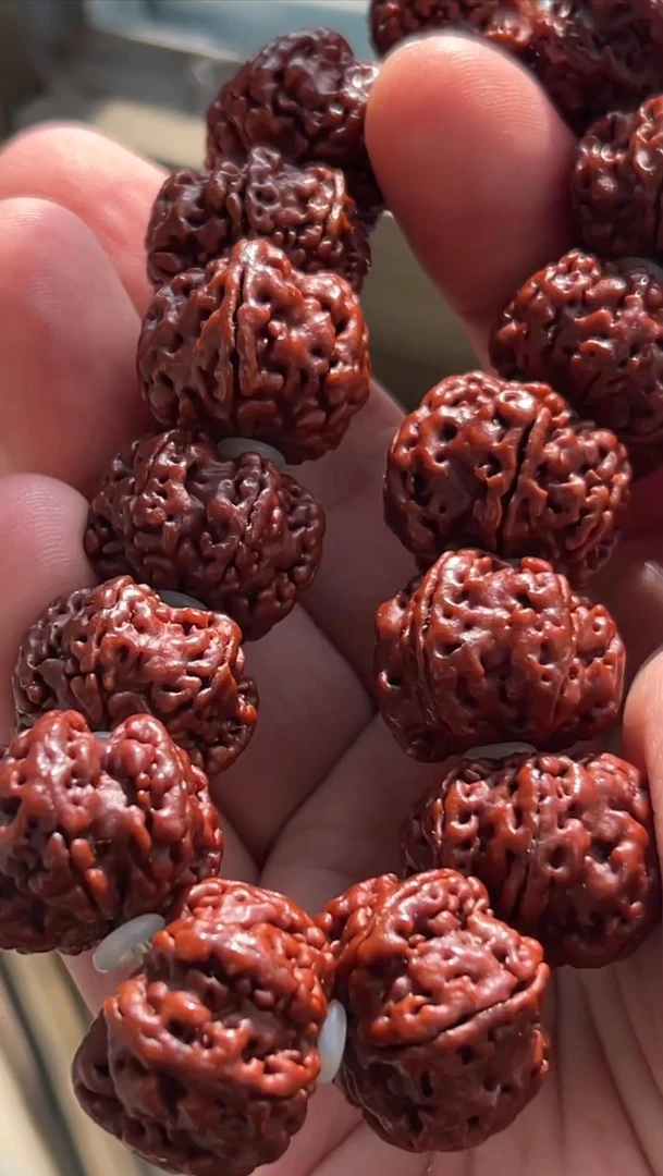 大金刚直播改价专用链接