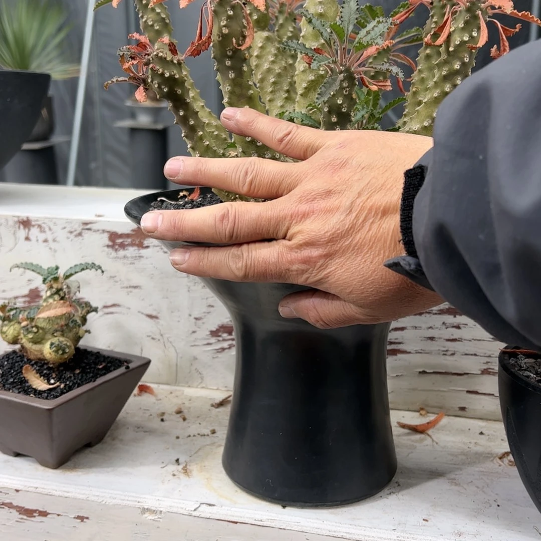 K***i大椰子琉桑88887788888