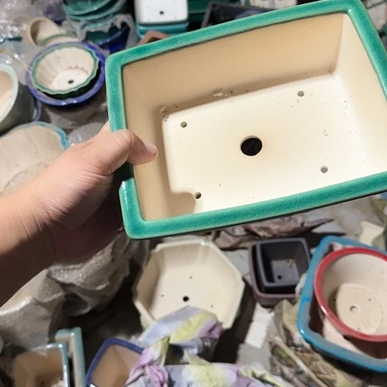 我想说什么我会和他们商量我想