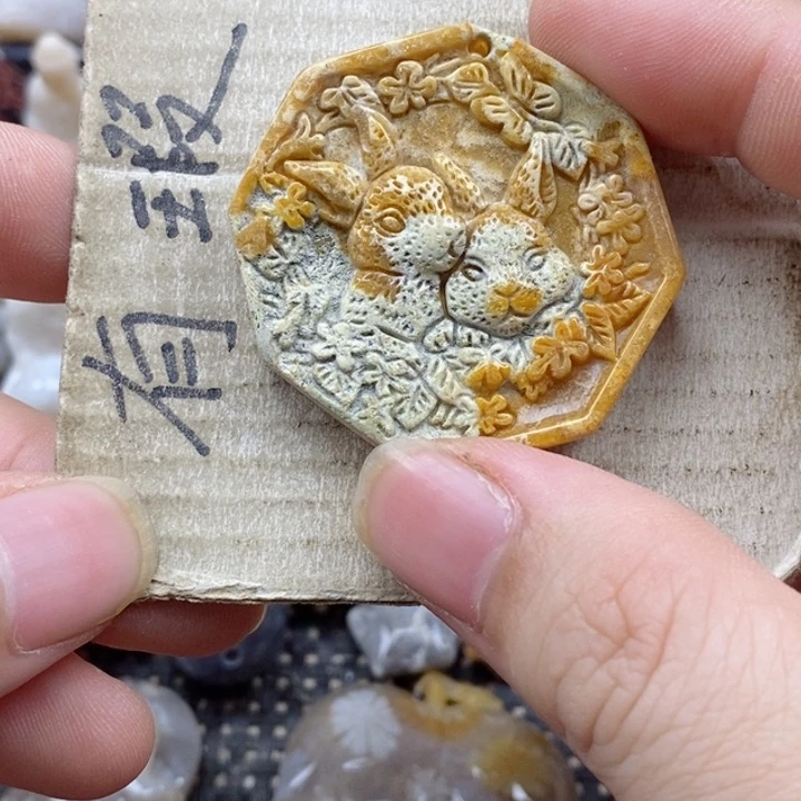 颈饰未镶嵌硅化珊瑚（珊瑚玉）南**飞