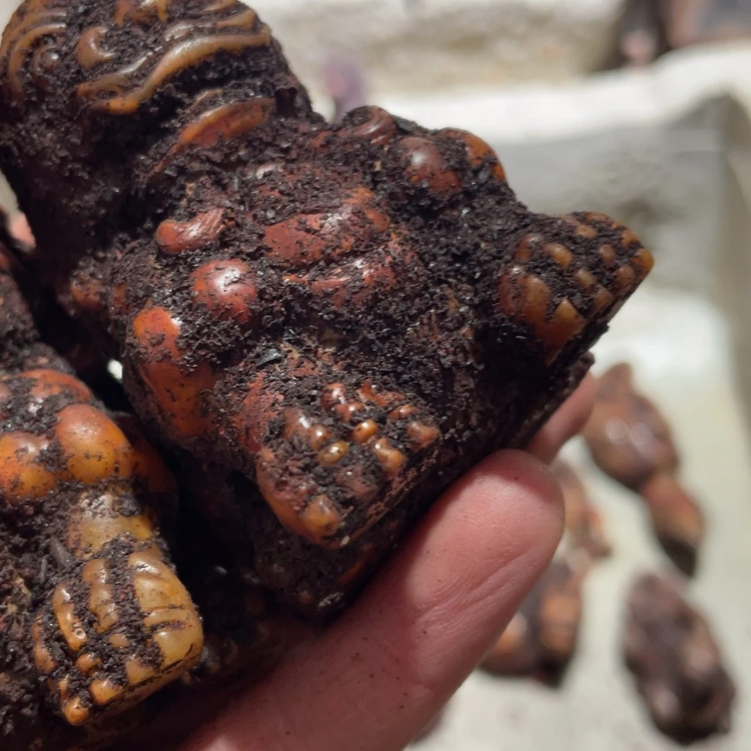 玛瑙/玉髓颈饰未镶嵌用****9