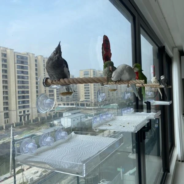 牡丹玄凤鹦鹉空中站架鸟用彩色亚克力站杆托盘套装用品用具