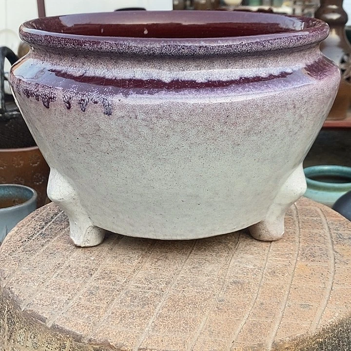 红陶高14/24下播福利