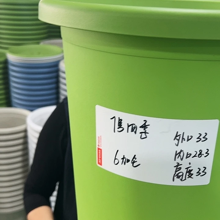 特价7号四季口33高33果绿无托6只