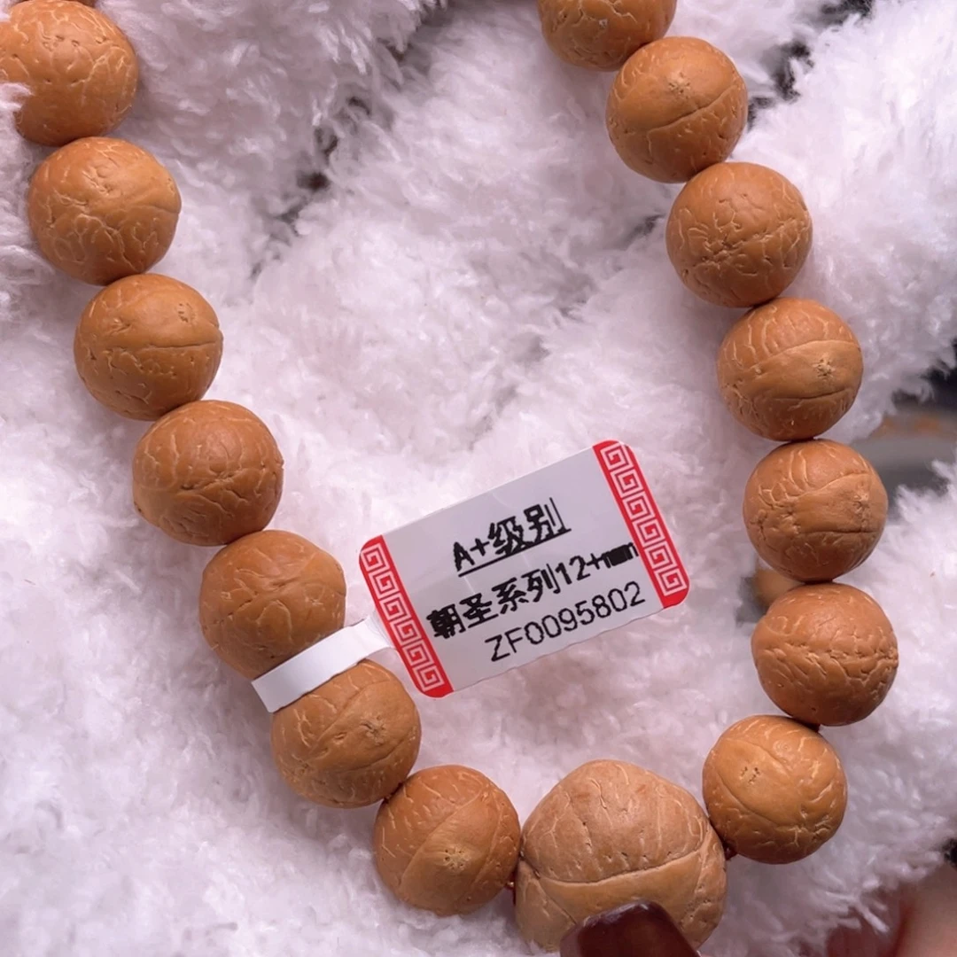 吊坠凤眼菩提菩提905