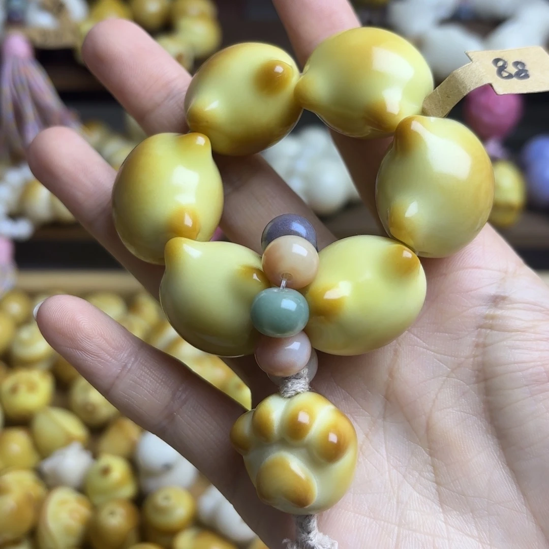 吊坠菩提根/象牙果全品