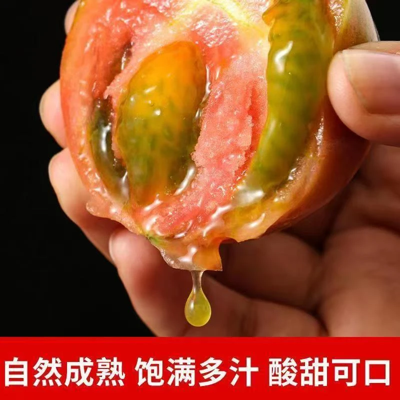 盘锦碱地柿子 自然成熟 儿时味道 4.5-5斤