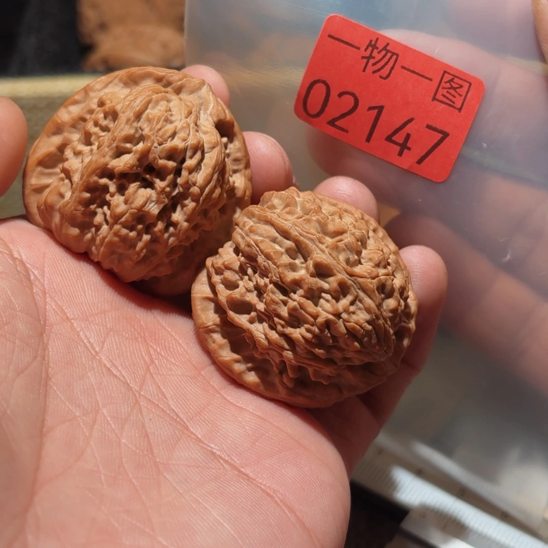 文玩核桃把件白狮子