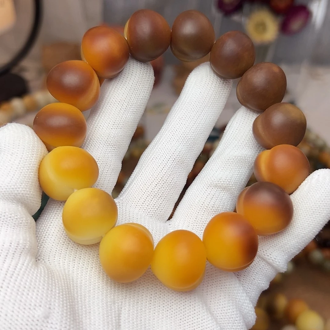 菩提根/象牙果手串20干磨067