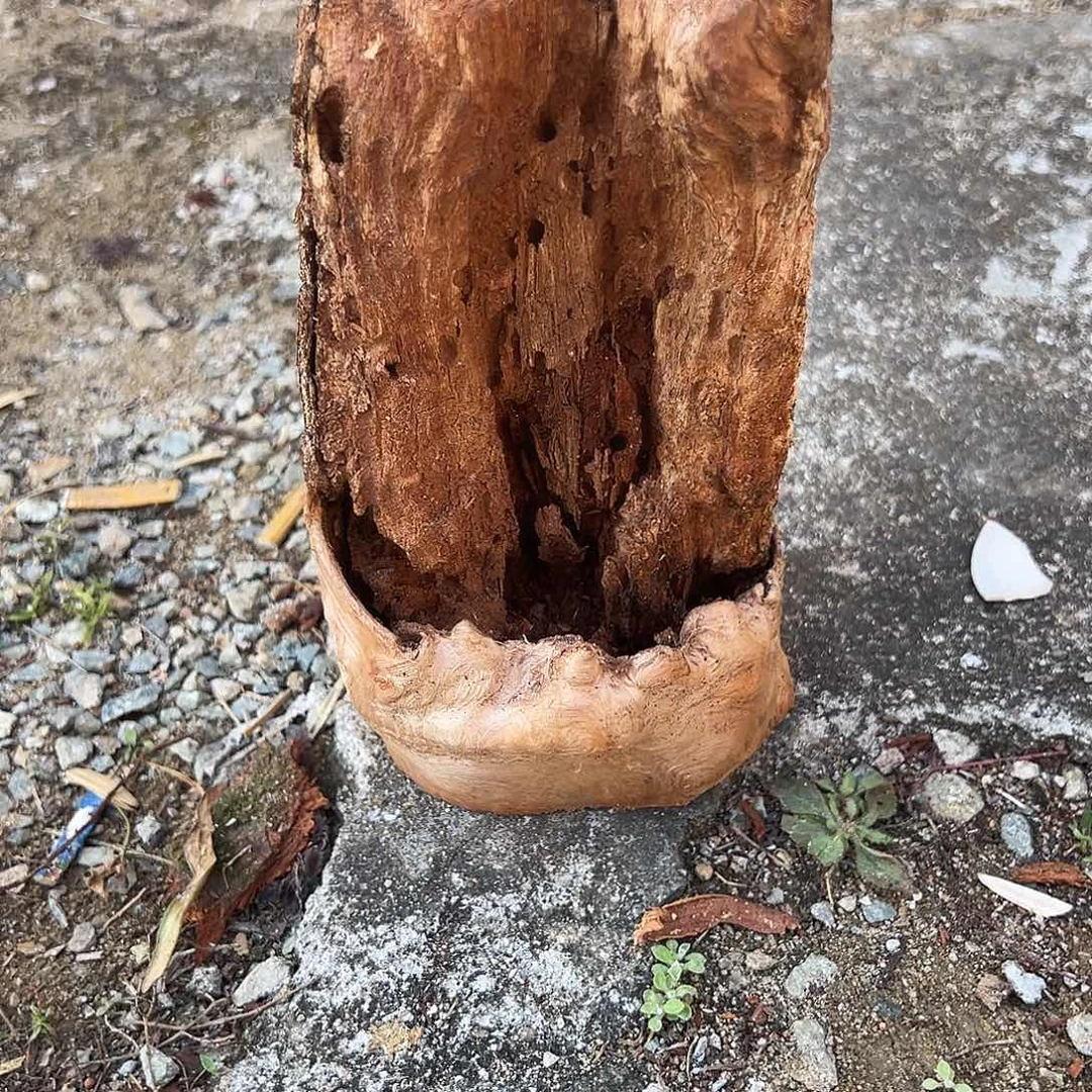 荔枝木什****生荔枝木随形香炉加工