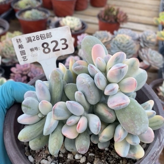 823一一一一一一一一一