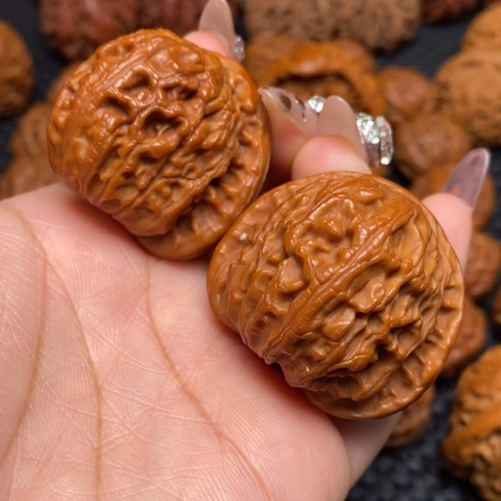 秦岭野生000000002