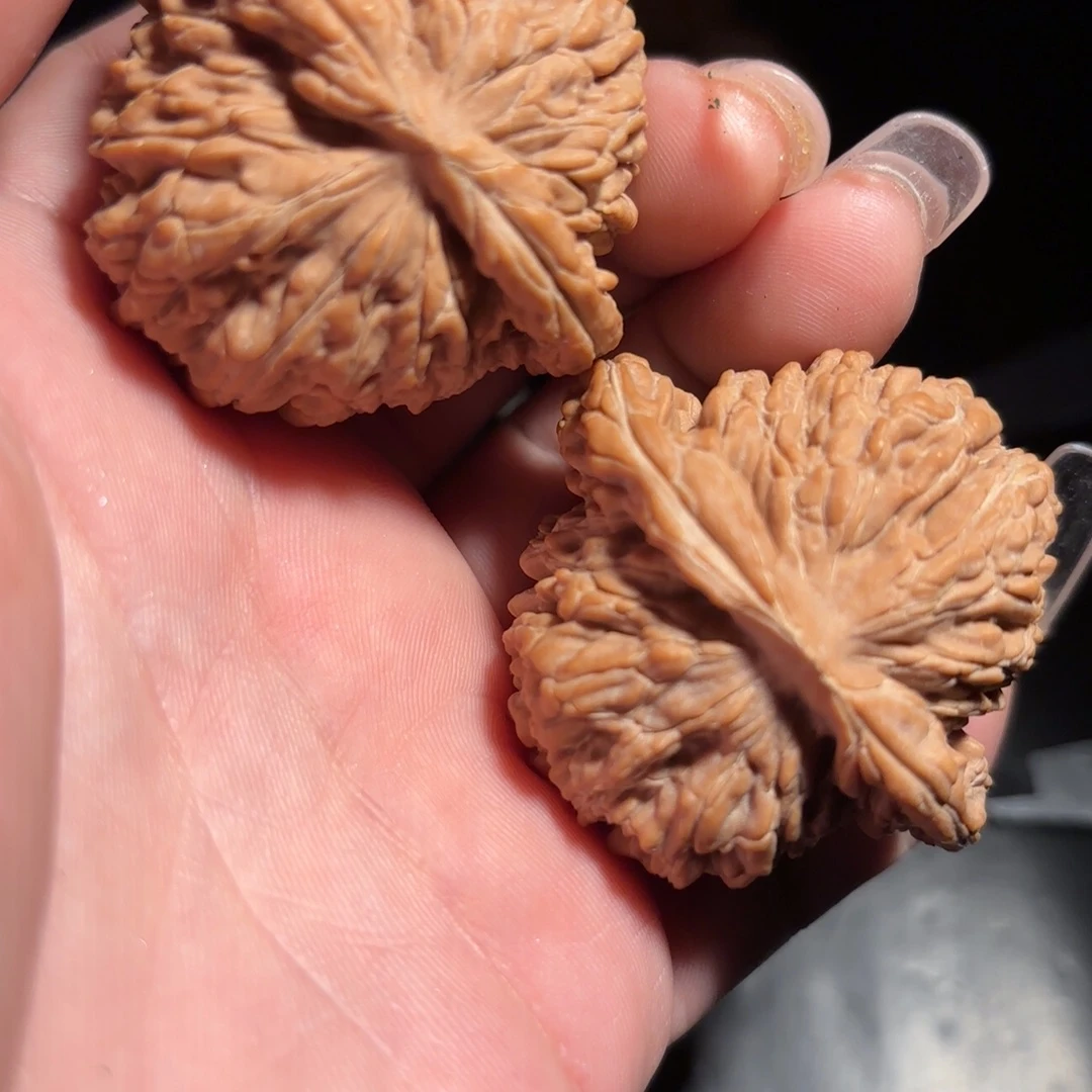 核桃45尺全品娄子